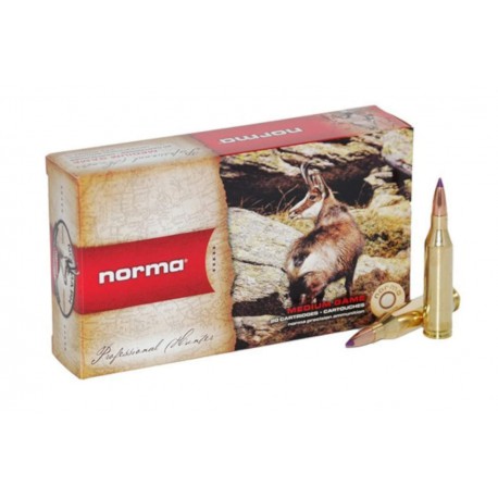 NORMA CAL.243 BALLISTIC TIP 90GR